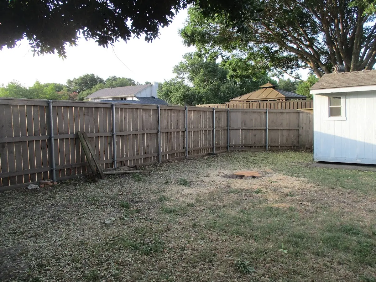 Cleared yard after professional tree removal in Quincy